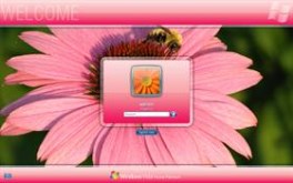 Pink LogonVista