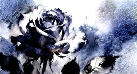 blue rose