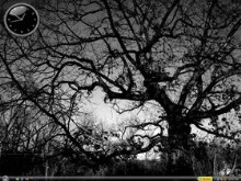 Vista Black and White