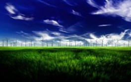 Calm Fields 3