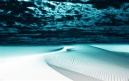 My Dream Desert