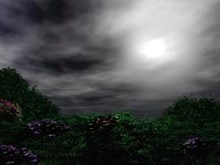 Storm Coming