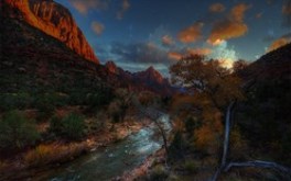 Watchman View