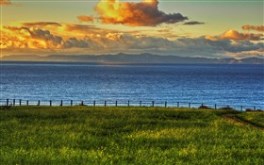 Ocean View
