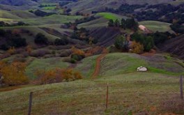Hidden Homestead