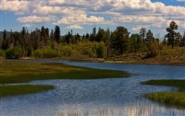 Kolob Pond