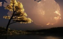 A thinking place