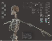 skeleton desk
