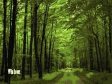 Country Roads