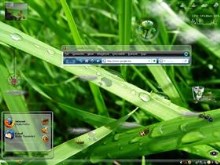 Vista&Bugs
