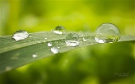 Drop