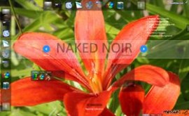 Naked Noir