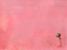 Small Deer in a Large Pink Space