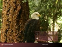Eagle has Landed