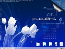 White Flowers