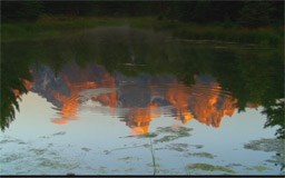 Ripples