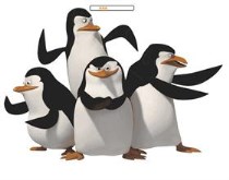 Madagascar Penguins