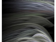 Plumage&PlumageBright