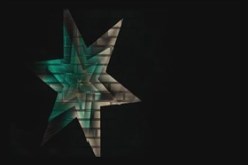 Wall Flower