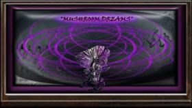Mushroom Dreams