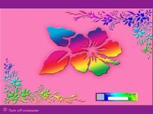 Hibiscus2