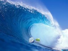 DELL 3