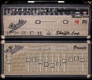 FenderSkin
