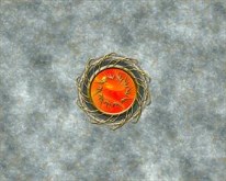 Wizard Fire