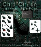 Chip Circuit