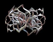 Crown of Thorns