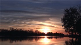 Sunset Silhouette