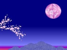 cherry blossom moon