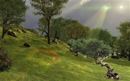 Tree of Conscience LSV