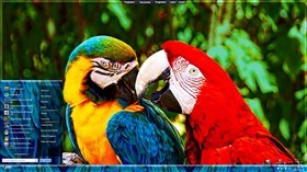 Feathers