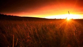 Sunset at Farm