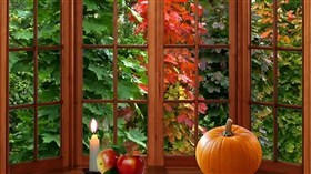 Beautiful_Fall_Window