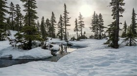 Snowy_Pines_Creek