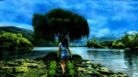 The_Willow_Tree
