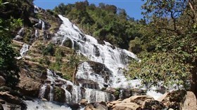 Forest_Stairway_Falls