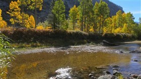 Fall_Stream