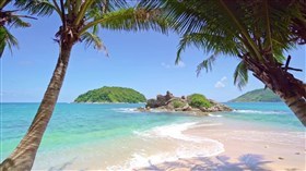 Tropical Beach Split Waves ws