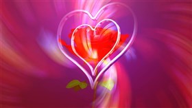 Love Heart Rose