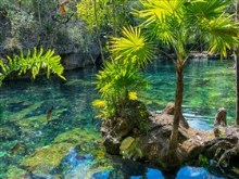 Tropical_Mexico