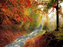 Autumn_Creek