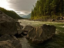 Pine_Forest_River