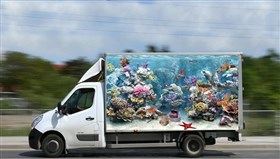 Road_Aquarium