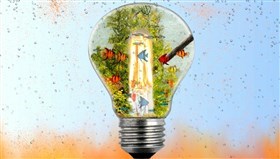 Fish_Bulb