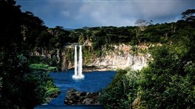 Forgotten_Rainforest