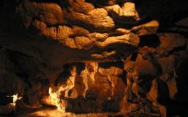 Golden Cave WS