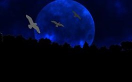 Blue Moon - #Summer09